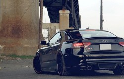 savagecarrot:  fuckyeahcargasm:  Sexy bitch Featuring: Audi A5 RS Coupe (2012)  **S5 Coupe. 