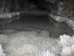 paleth0ughts:  mmorgiana:  ghostwerld:   crystal formations in a pool  I don’t even care how much it’d hurt I would probably try and swim in this if given the opportunity. FUCKIN’ CRYSTAL POOL.  ur fuckin dumb  