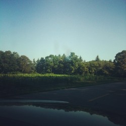 Country roads #country #road #2012 #summer