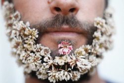 seansavestheworld:  i should do a flower beard  I&rsquo;m gonna do this to Daddys beard *giggle*