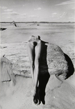 looknread:  Lucien Clergue, Genese reclining nude. 