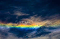 orientaltiger:  Rare Fire Rainbows: It looks like a rainbow on fire but these circumhorizontal arcs aren’t rainbows. They are caused by light passing through high-altitude cirrus clouds. The sun has to hit the clouds at precisely 58 degrees and have