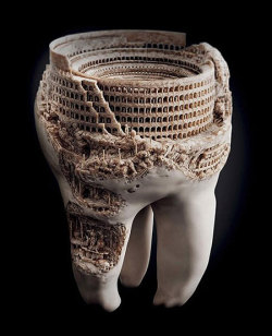 wellimthelordoftime:  tennantstype40:  cmsii:  A sculpture of the Roman Colosseum, done in a real tooth.  Not sure if cool or terrifying…  if the bacteria in your mouth have evolved to reach the level of Roman civilization, you should probably brush