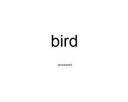 shavingryansprivates:  powrepoint on bird