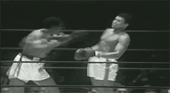 nasfera2:  brwnsknog:  vulcanstate21:  supermodelgif:  “His hands can’t hit what his eyes cant see.” - Muhammad Ali  i put “never not reblog” on shit, but ill NEVER not be amazed by this GIF  ^^^ BARS..  Iconic 