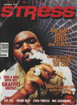 Raekwon - Stress Magazine, November 1995