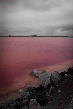 manolescent:  Pink Lake 