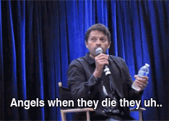 anneliese-michel:  thereisacrackintheuniverse:  winchestercodependency:  goatheart:  “Where do angels go when they die?” hmm… x x  THIS HURTS EVEN MORE NOW THAT RICHARD’S CONFIRMED THAT THE PEPSI MAX GUY WAS REALLY GABRIEL.  IT MAKES SO MUCH SENSE