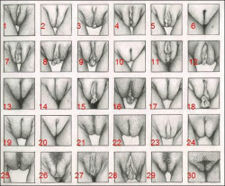 piscesiam-planetpisces:  30 TYPES OF PUSSY