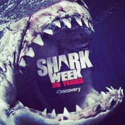 mjadeep:  My favorite week of the year. #SharkWeek #DiscoveryChannel #Ocean #Love (Taken with Instagram) 