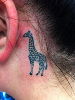 fuckyeahtattoos:  This a photo of my first tattoo immediately after completion. I got a tattoo of a giraffe because I have a very obvious passion for giraffes. It was done by Howard Teman at T-Man Tattoo in Studio City, CA (US). His attention to detail