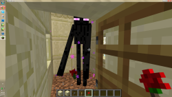 ender-friend:  I FOUND AN ENDERMAN IN THIS DESERT VILLAGE HOUSE AND HE LOOKED SAD SO I PUT A FLOWER DOWN ON THE GROUND AND HE HE PICKED IT UP ENDERFRIEND 