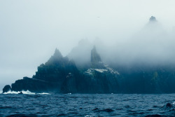complectus:  Little Skellig, County Kerry,