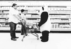 I see a panda that’s about to get punched. 
