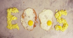 visual-poetry:  “eggs” by charley friedman