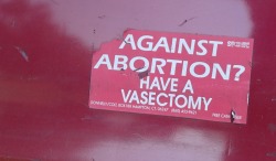 rabbitglitter:  Dear cis men regulating reproductive rights  