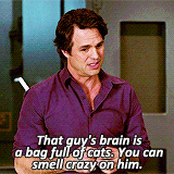 blainesgreenshorts:  singlikeamockingjay:  saveusalltellmelifeisbeautiful:  #bruce banner is a fucking gift  #the remus lupin of the avengers  that comment 