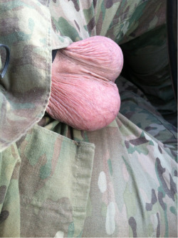 My cum filled balls and OCPs (Multicams)… I could spread my infidel cum across this country and end hostilities once the Taliban learn my porn/bacon/booze loving semen screwed them out of paradise &amp; 72 virgins. Just lemme jerk off on the bombs we