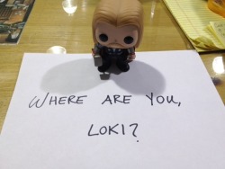 mixedupqueen:  notthehellyourwhales:  alaricsaltzbuns:  tomhiddlesbitch:  cancerously:  superblys:  anti-shipper:  the-greatest-companion:  castaneacreations:  thegoodlannister:  schwarzweis:  thegoodlannister:  My sister got me a Thor bobblehead. This