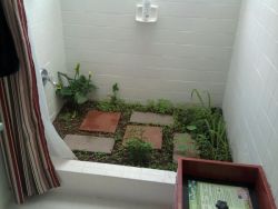  craigslist houseshare ad: “i have a garden growing in my shower so you have to use eco-friendly hair products. you will see worms and other insects, and you will occasionally see a spider too but they all help out the ecosystem.” 