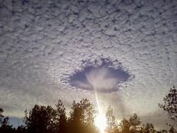 laina:   This is a rare meteorological phenomenon called a skypunch. When people see these, they think it’s the end of the world. Ice crystals form above the high-altitude cirro-cumulo-stratus clouds, then fall downward, punching a hole in the cloud