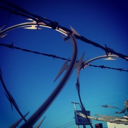 Dangerous Corkscrew #Danger #Barbedwire  (Taken With Instagram)