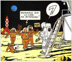 nevver:  Tintin 