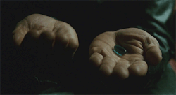 Graysonsdick:  You Take The Blue Pill, The Story Ends, You Wake Up In Your Bed And