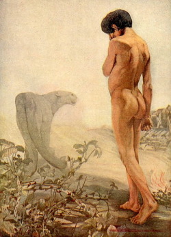 fannybaws:  Bagheera &amp; Mowgli, by Maurice &amp; Edward Detmold. llustration for a 1903 edition of The Jungle Book by Rudyard Kipling. 