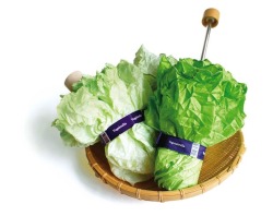 tired-and-mean:   Vegetabrella by Yurie Mano This is pretty rad-ish, but lettuce not get too excited, the umbrella will allow your head to romaine dry but it’s not very tasty. I know the puns are corny but I really don’t carrot all.  Reblogged for