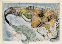 ryandonato:  Spanish illustrator Fernando Vincente gave a whole new meaning to the phrase, ‘seeing the world with a different eye’ by painting various images over existing cartographs and maps. He is creating animals, humans and objects out of the