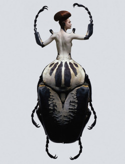 laughingsquid:  Insectes, Photo Composites of Woman-Insect Creatures 