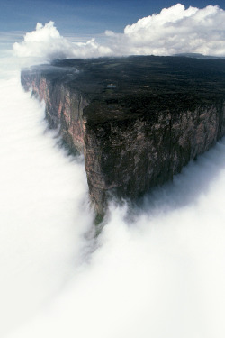 hehadaname:  markliddell:  Mount Roraima by Uwe George for National Geographic  OMIGOD you guys, it’s the Mist Continent from FFIX. Alexandria has to be off-frame, it just does.