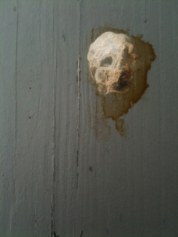 iheartchaos:  Man finds Stormtrooper in bird poo!  So funny, yet, better than finding Jebus everywhere.