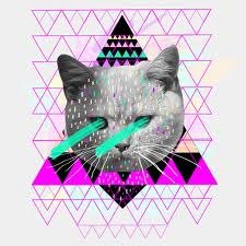 #cat #triangles #hipster #laser #omg