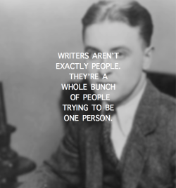 :  F. Scott Fitzgerald 