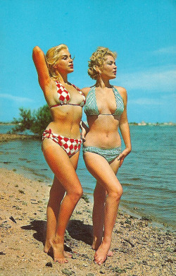 vintagegal:  1950’s bathing beauties