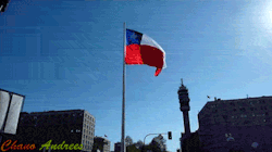 chanoandrees:  REBLOGUEALO MIERDA ¡Viva Chile MIERDA!