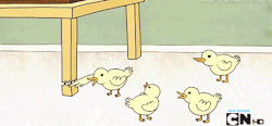 pamaury:  thug ass ducks 