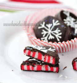 gastrogirl:  homemade candy cane peppermint patties. 