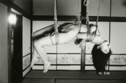 Lovely shibari suspension kuroshine:  As an engineer, there’s just something to suspension I supremely enjoy. 