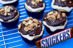 gastrogirl:  snickers cupcakes. 