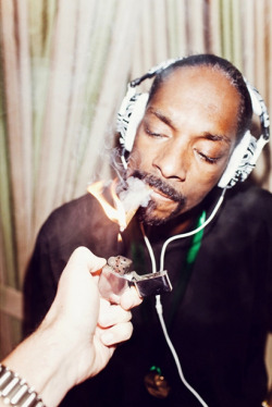 Mr. Snoop Lion. *RAWR*