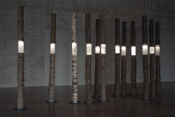 7Knotwind:  Ione Thorkelssonarboreal Fragments Cast Glass, Found Wood. H 8 Ft.  