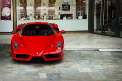automotivated:  Enzo (by Thomas Saunders)