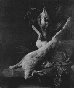 adenoviridae:  Nature morte aux trophées de chasse, au lièvre et au perdreau, Jan Weenix (1640-1719).