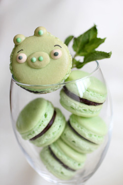 gastrogirl:  mint macarons with an ‘angry bird’ twist. 
