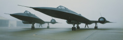 scanzen:  Two Lockheed Martin SR-71 Blackbirds in morning fog.