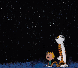 Calvin: If people sat outside and looked at the stars each night, I’ll bet they’d live a lot differently. Hobbes: How so? Calvin: Well, when you look into infinity, you realize that there are more important things than what people do all day. 