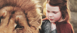  Lucy: Oh, I wish I was braver.Aslan: If you were any braver, you'd be a lioness.           